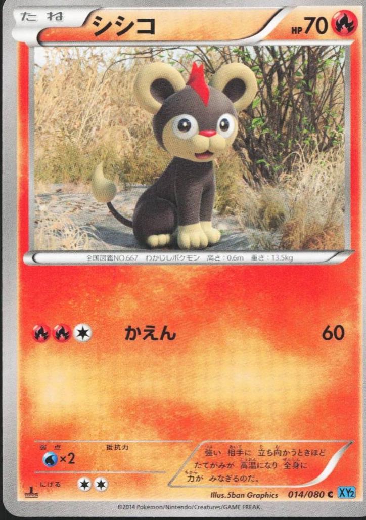 Litleo [1st-Edition]